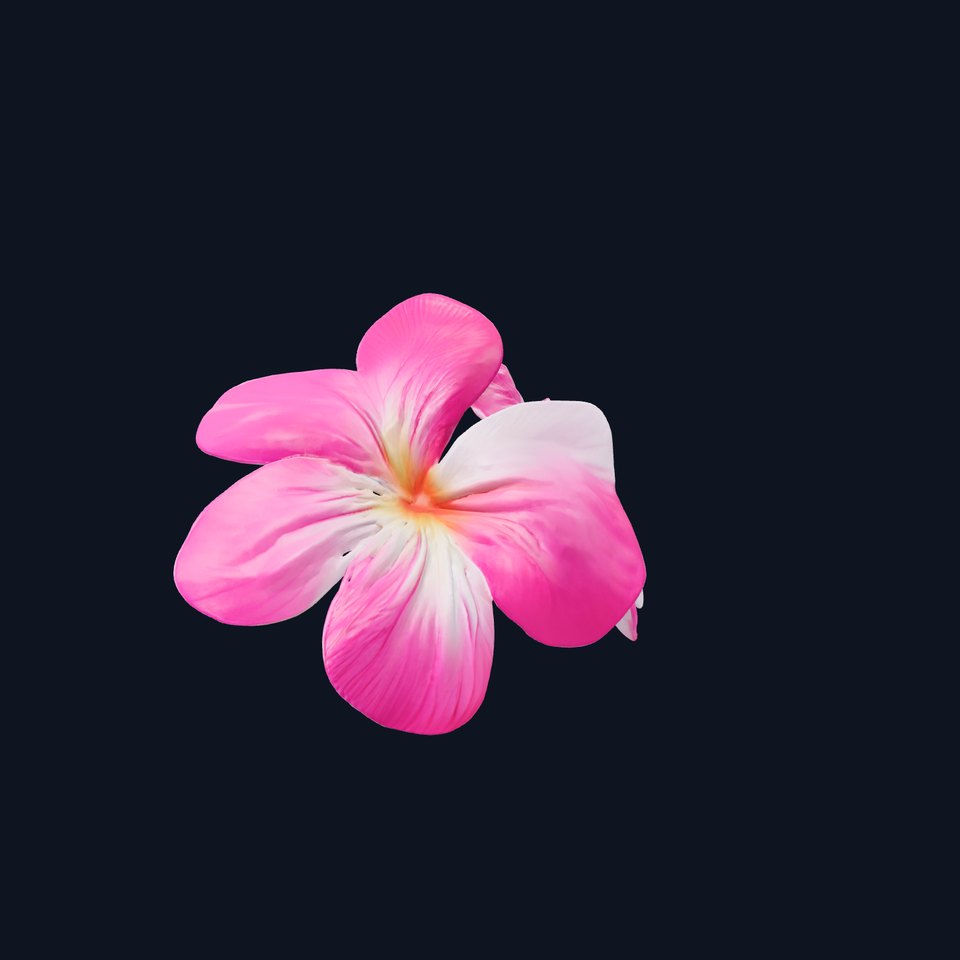 Rosy Bicolor Clover Petals Model Pack